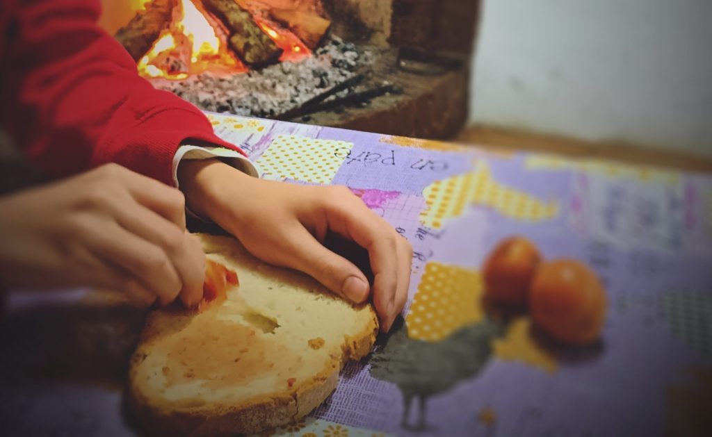 DE DARWIN A L’ART DE SABER FER PA AMB&nbsp;TOMÀQUET