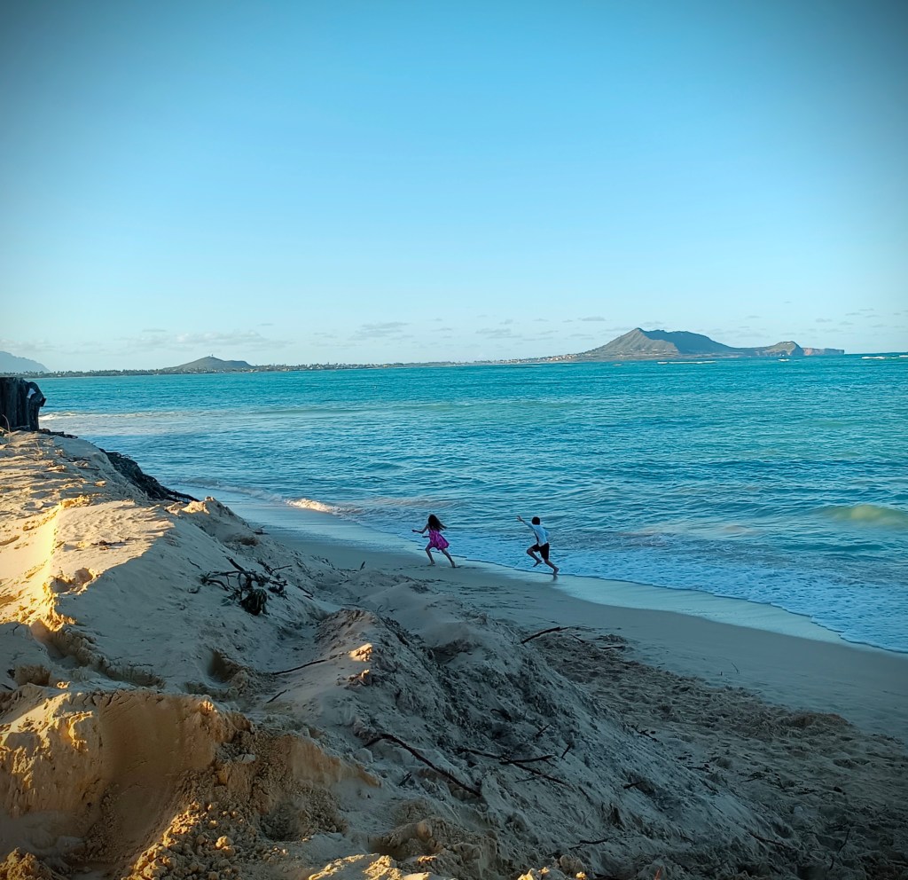 E ola ka ʻŌlelo&nbsp;Hawaiʻi!